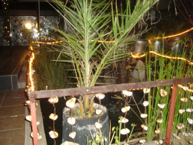 44 On Ennis Guest Lodge And Restaurant - No Load Sheddding แอร์เมอโล ภายนอก รูปภาพ