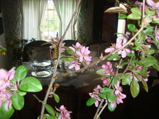 44 On Ennis Guest Lodge And Restaurant - No Load Sheddding แอร์เมอโล ภายนอก รูปภาพ