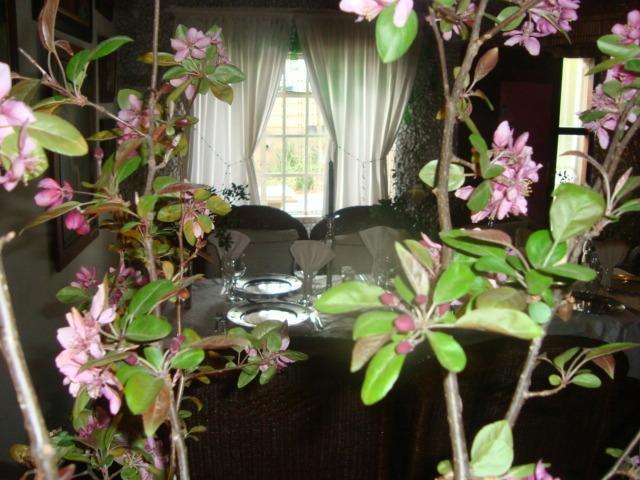 44 On Ennis Guest Lodge And Restaurant - No Load Sheddding แอร์เมอโล ภายนอก รูปภาพ