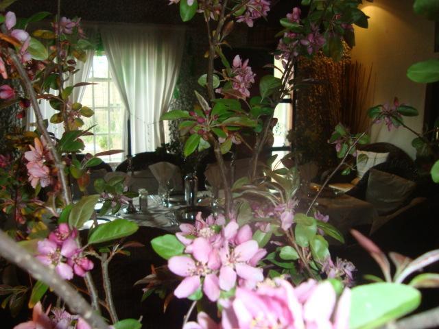 44 On Ennis Guest Lodge And Restaurant - No Load Sheddding แอร์เมอโล ภายนอก รูปภาพ