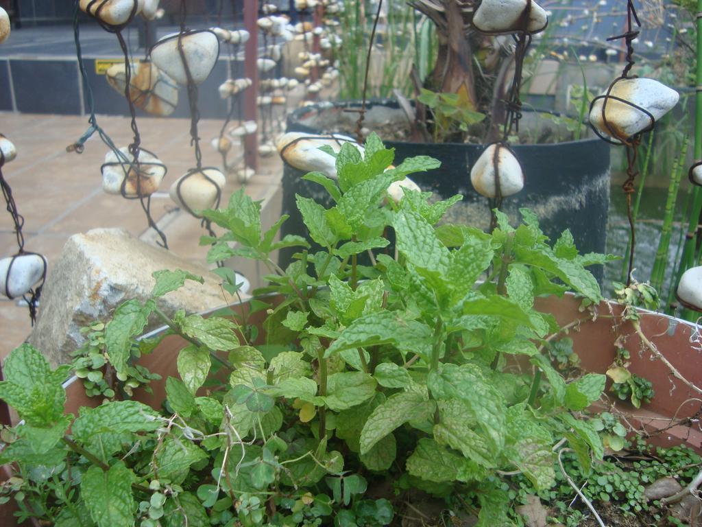 44 On Ennis Guest Lodge And Restaurant - No Load Sheddding แอร์เมอโล ภายนอก รูปภาพ